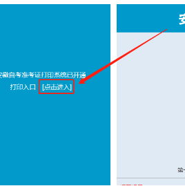 安徽省2020年4月自考本科如何查询考试考点、考场、座位号？